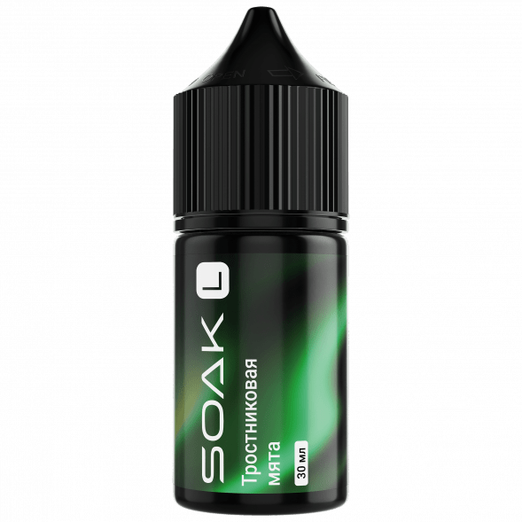 Жидкость SOAK L30 - Cane Mint (Тростниковая Мята, 30 мл, 2 мг) купить в Красноярске