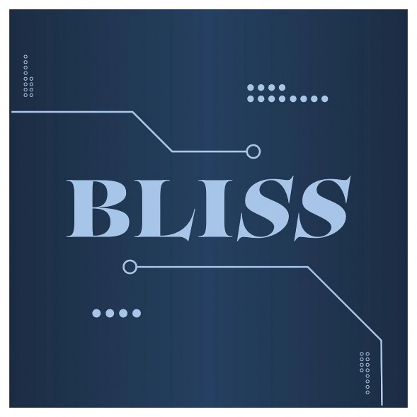 Табак Bliss - Киви (250 грамм) купить в Красноярске