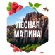Табак Сарма - Лесная Малина (40 грамм) купить в Красноярске