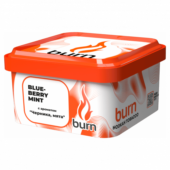 Табак Burn - Blueberry Mint (Черника с Мятой, 200 грамм) купить в Красноярске